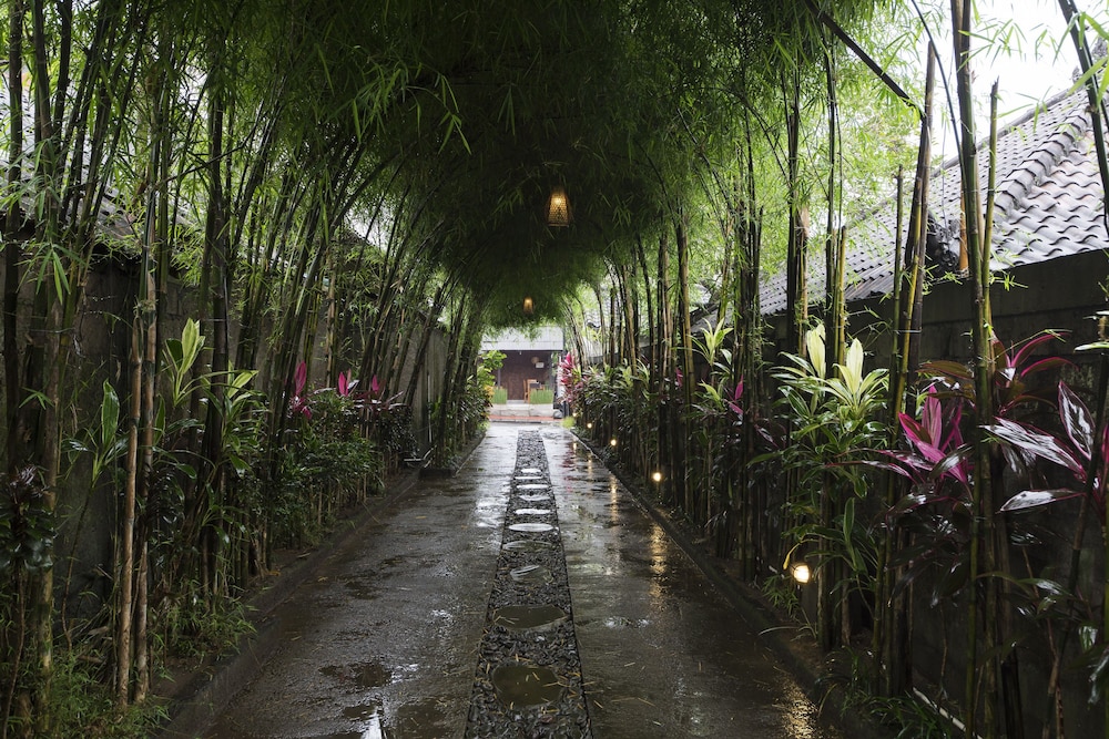 Jungle Haven Resort Central Ubud 65/74
