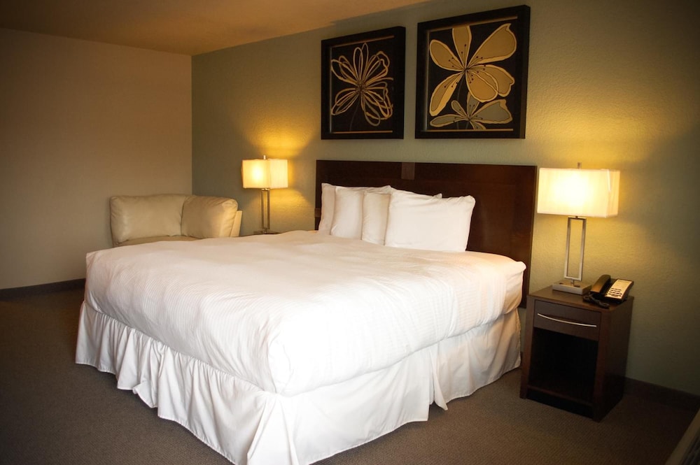 Unique Suites Hotel 15/50