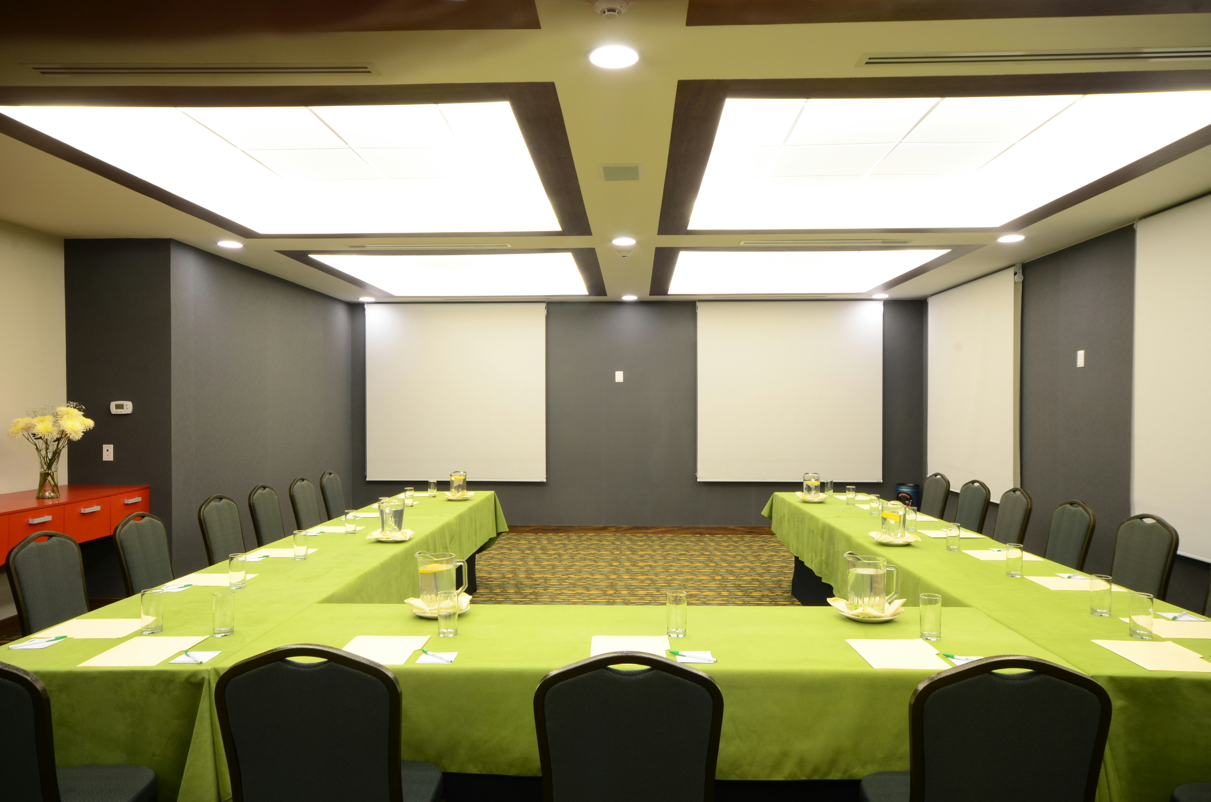 Holiday Inn Tampico Altamira 25/33