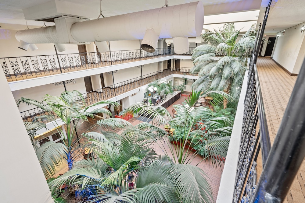 Coratel Suites 15/21
