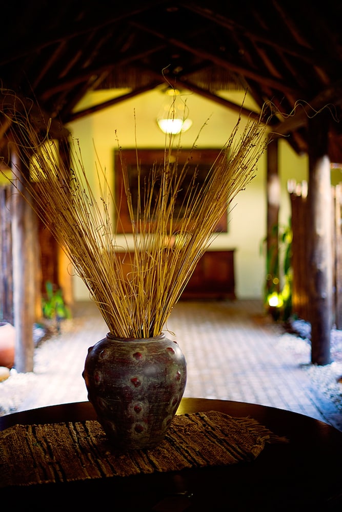 PREMIER RESORT MPONGO PRIVATE GAME RESERVE 8/50