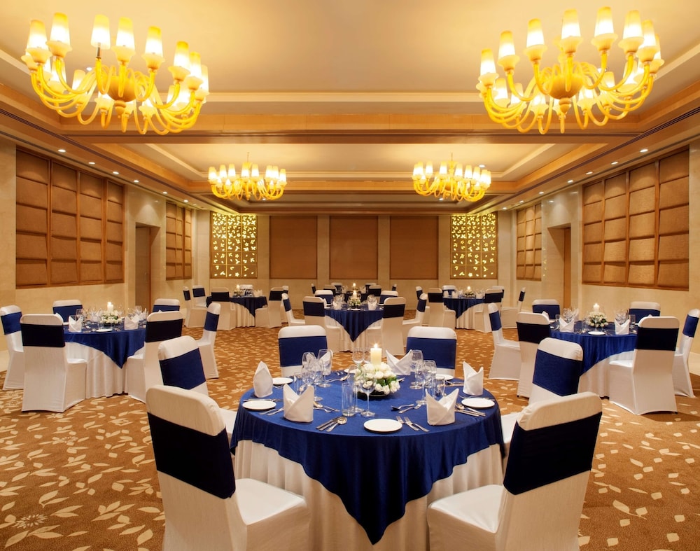 Radisson Blu Hotel, New Delhi Dwarka 41/50