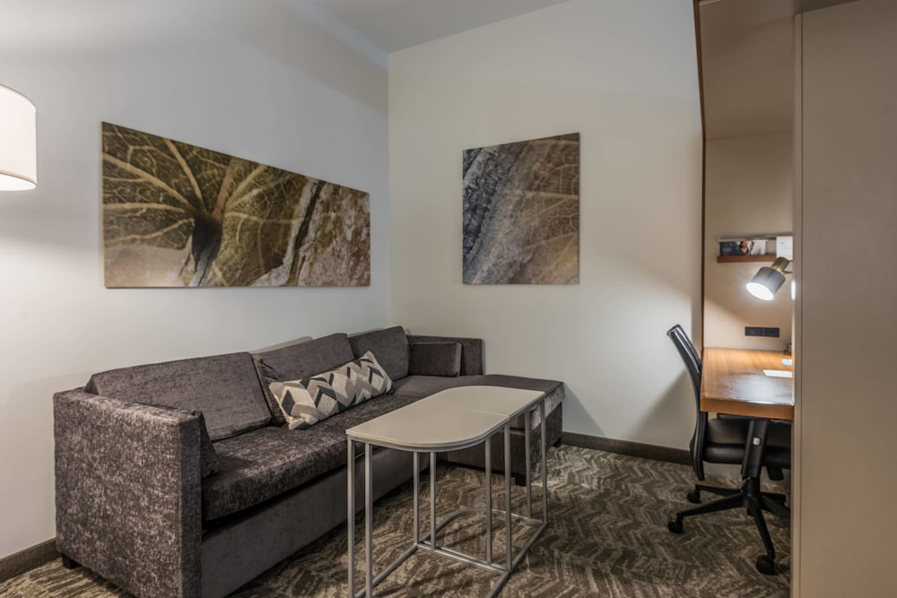 Springhill Suites Statesboro University Area 21/26