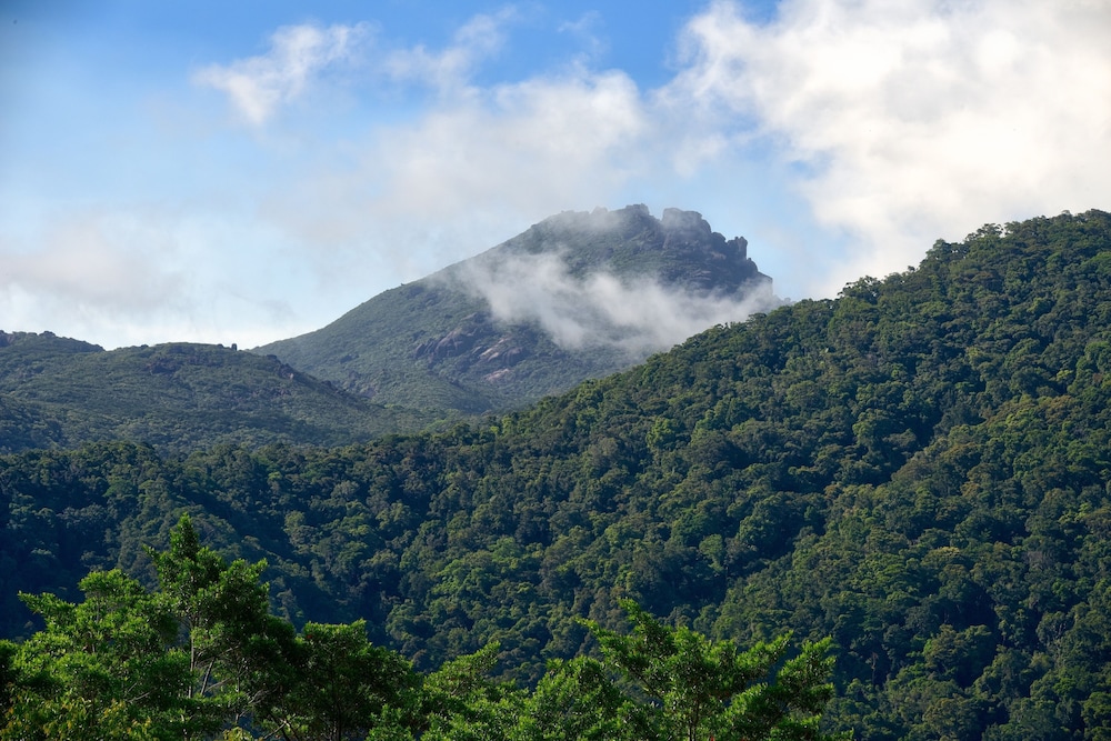 Daintree Peaks Eco Stays 38/45