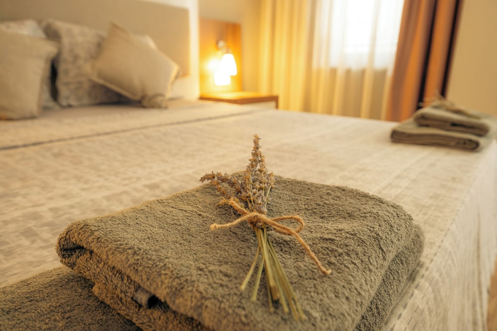 NOVIS HOTEL CLEOPATRA 35/75