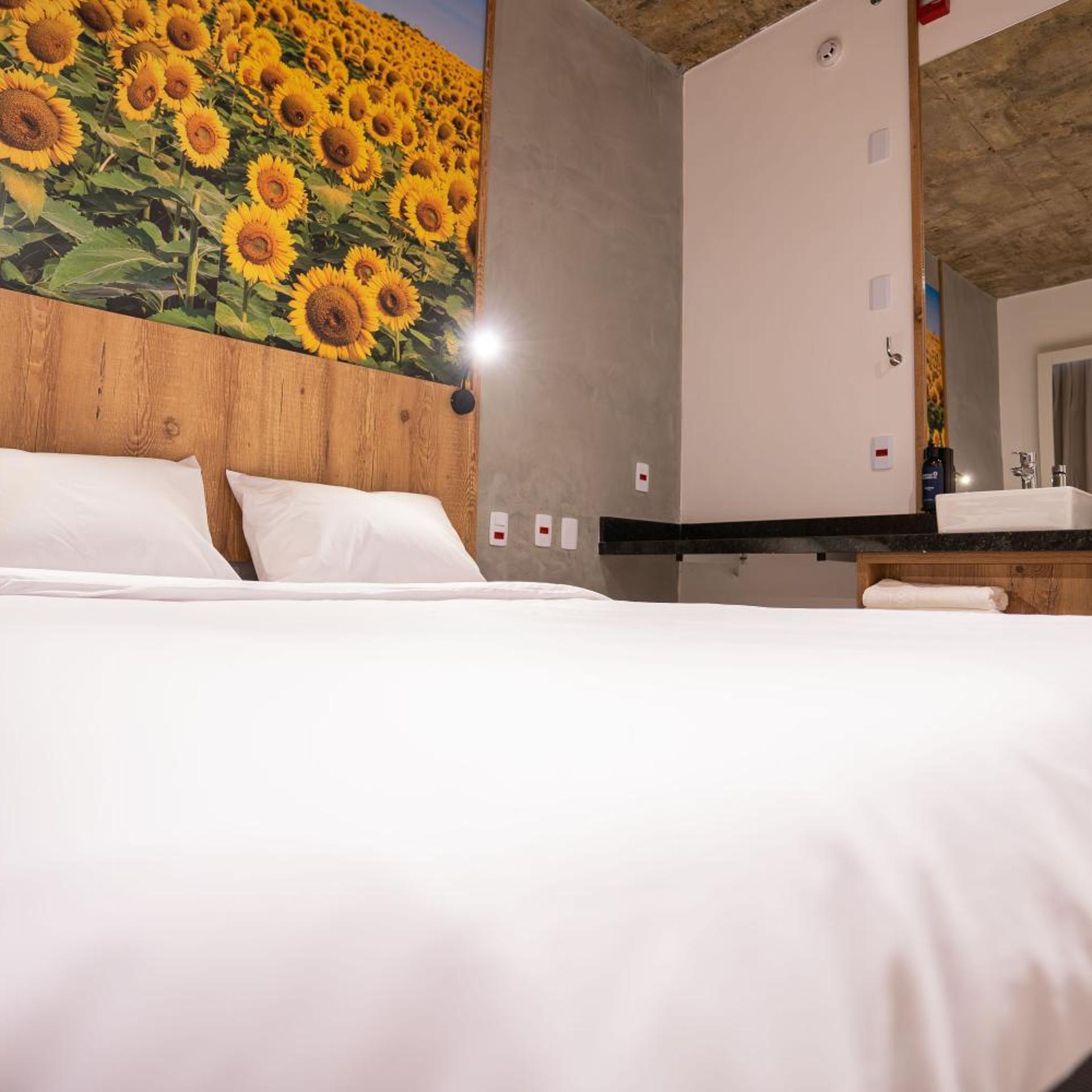 Campos de Holambra Inn 19/50