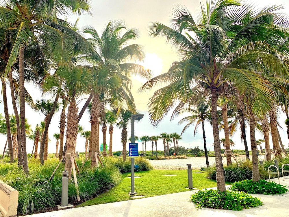 The Broadmore Miami Beach 36/48
