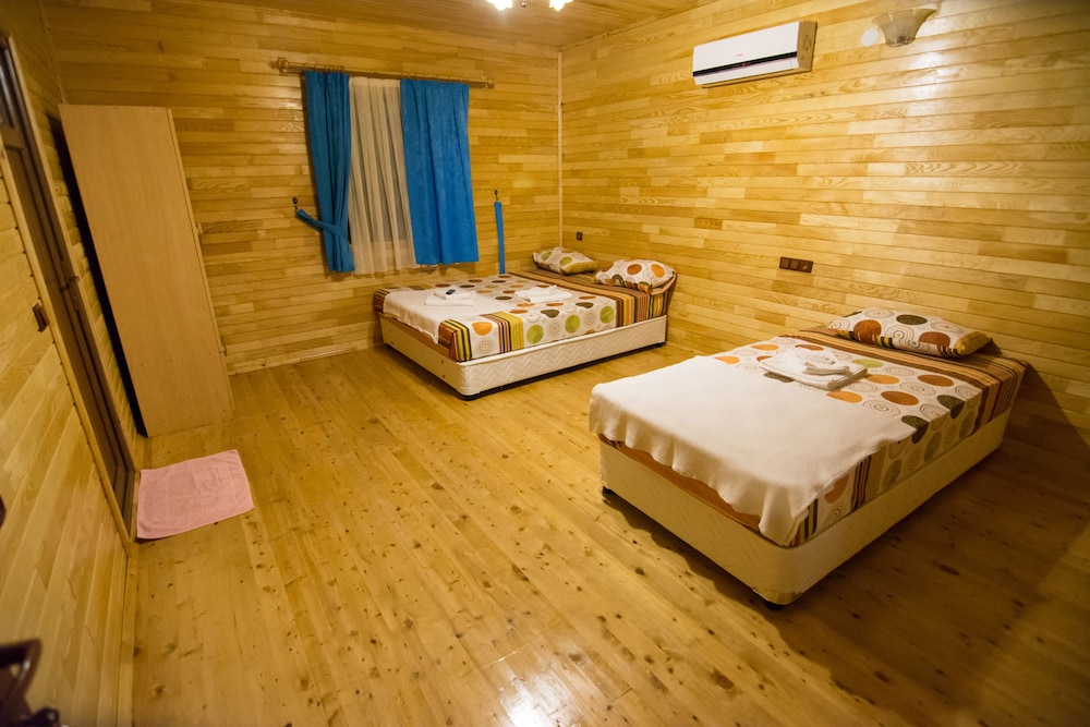Olympos Orange 19/50