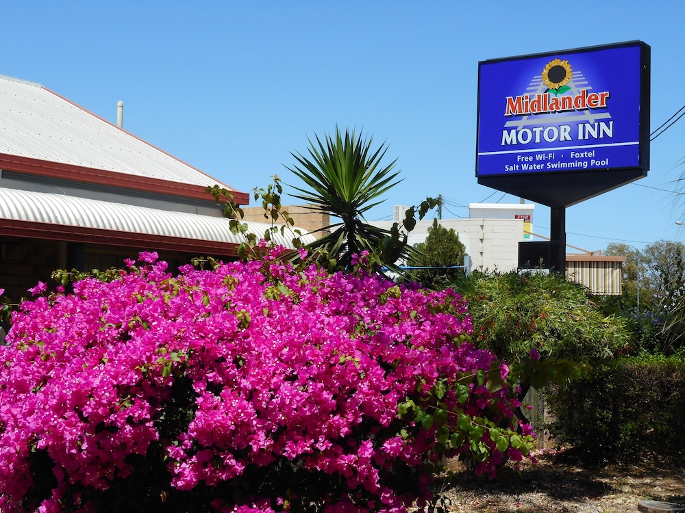 Midlander Motor Inn 2/66