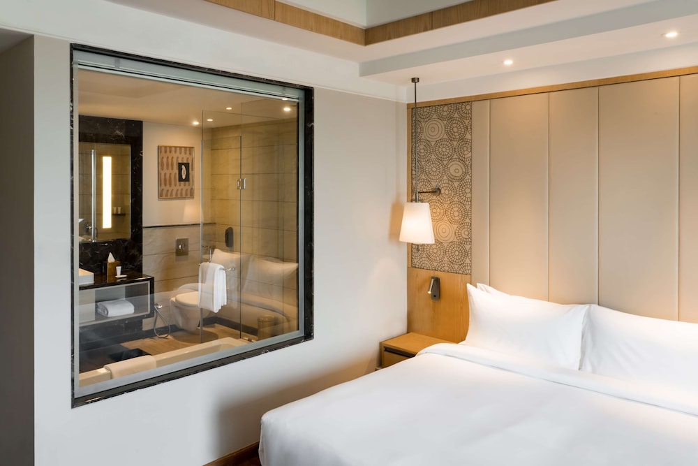 Radisson Bhopal 13/64