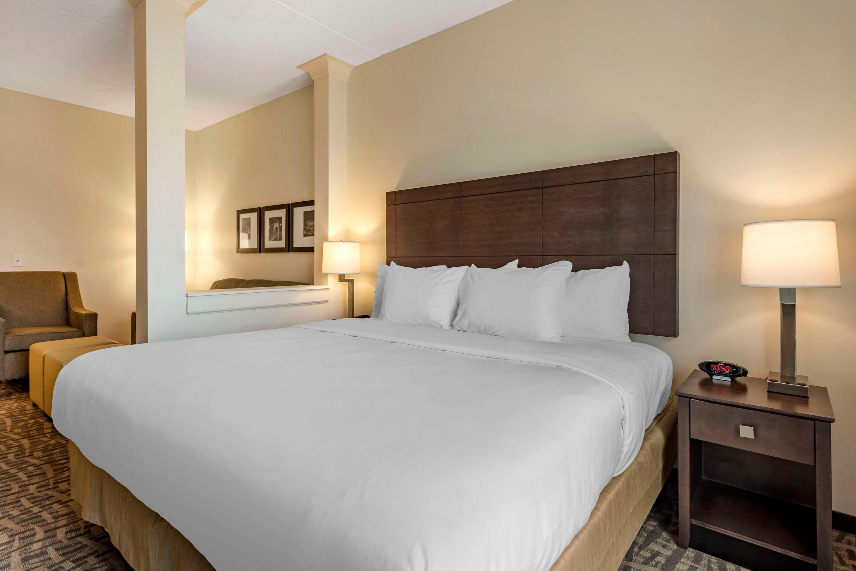 Suite, King Bed, Comfort Inn and Suites Pittsburgh Northshore, PA 2/3