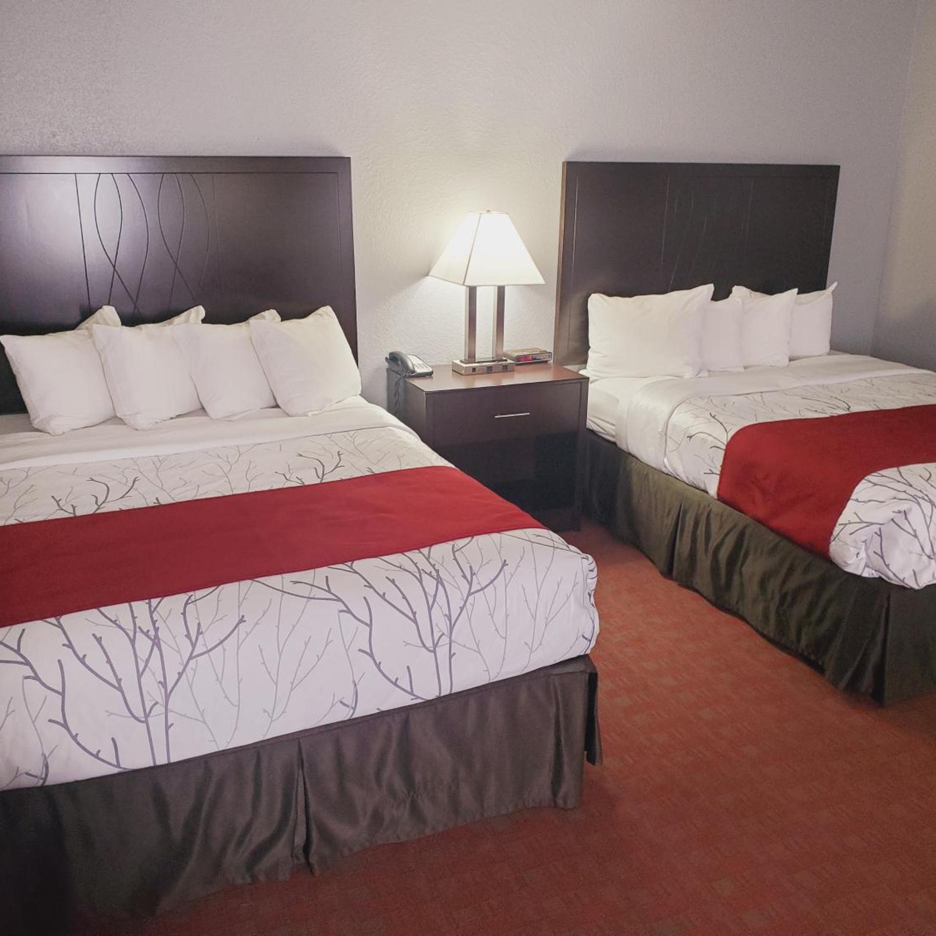Blackstone Lodge Suites 12/50