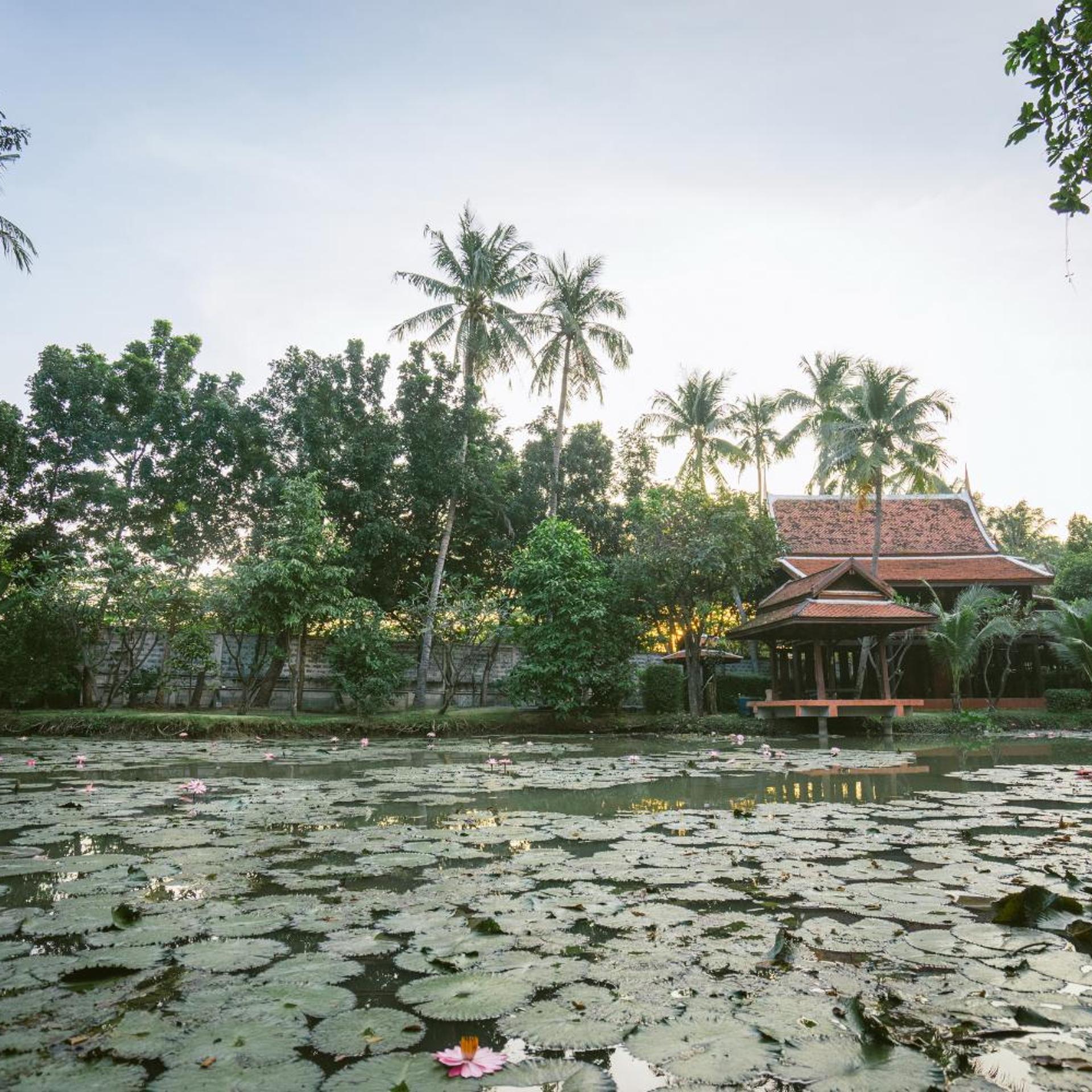 DHABKWAN RESORT & SPA 23/30