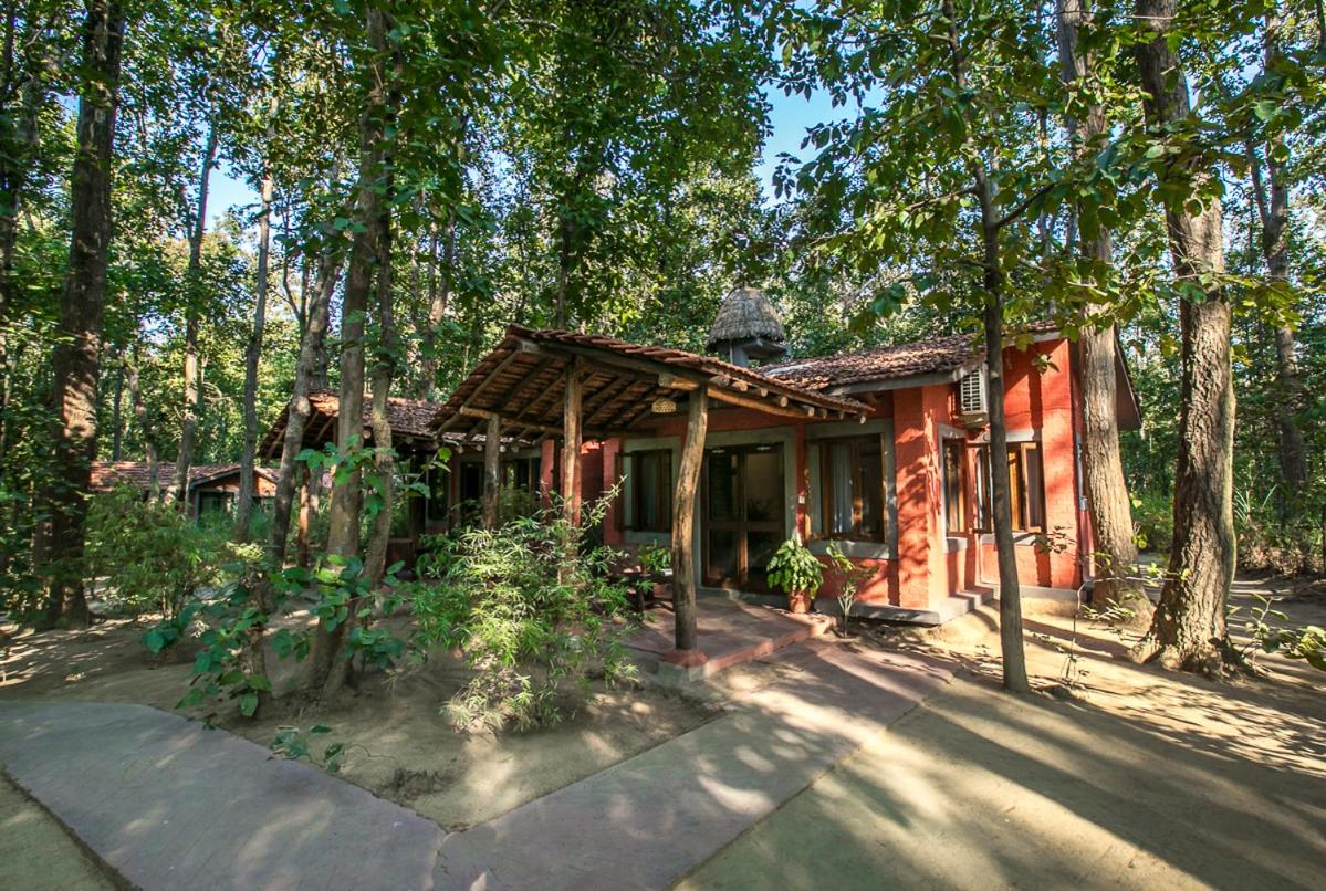 Kanha Jungle Lodge 7/25