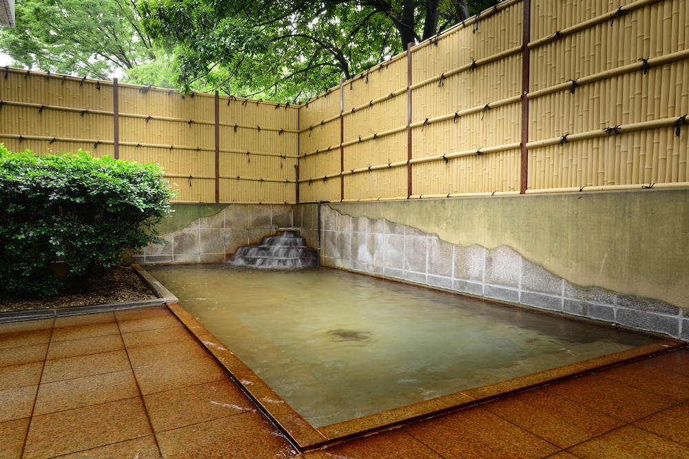 Tamana Onsen Hotel Shirasagi 40/67