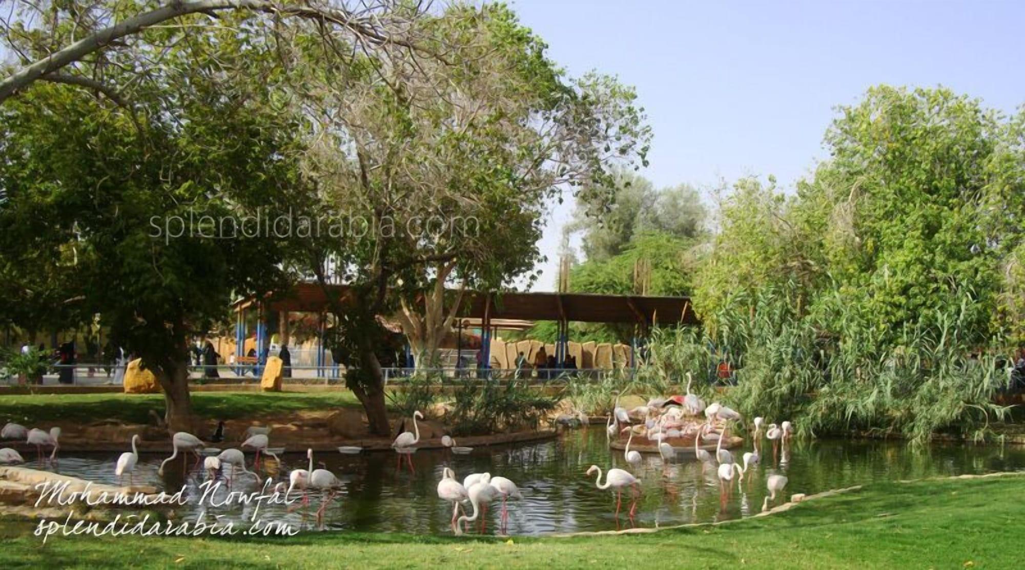 فندق حياة الرياض(Hayat Al Riyadh Dabab Hotel) 46/50