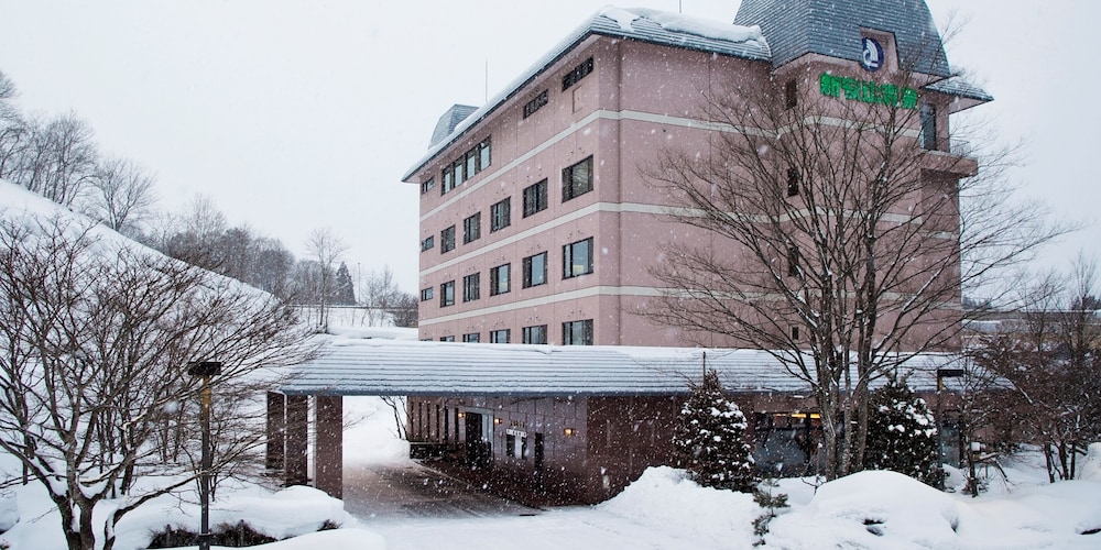 Shin Appi Onsen Seiryukaku 2/59