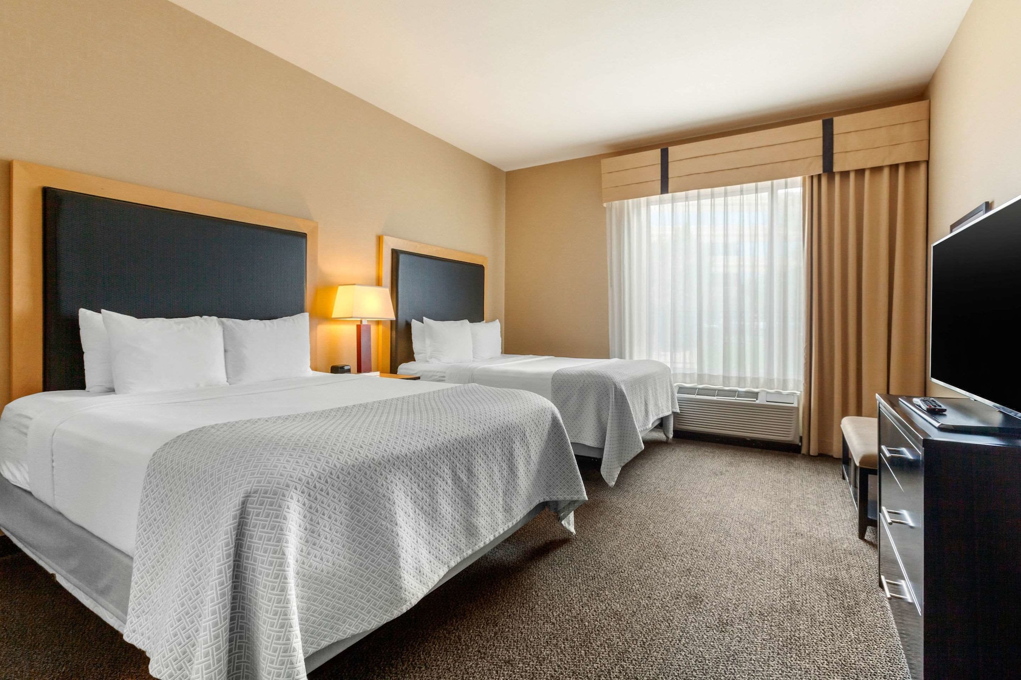 SUITE, MULTIPLE BEDS