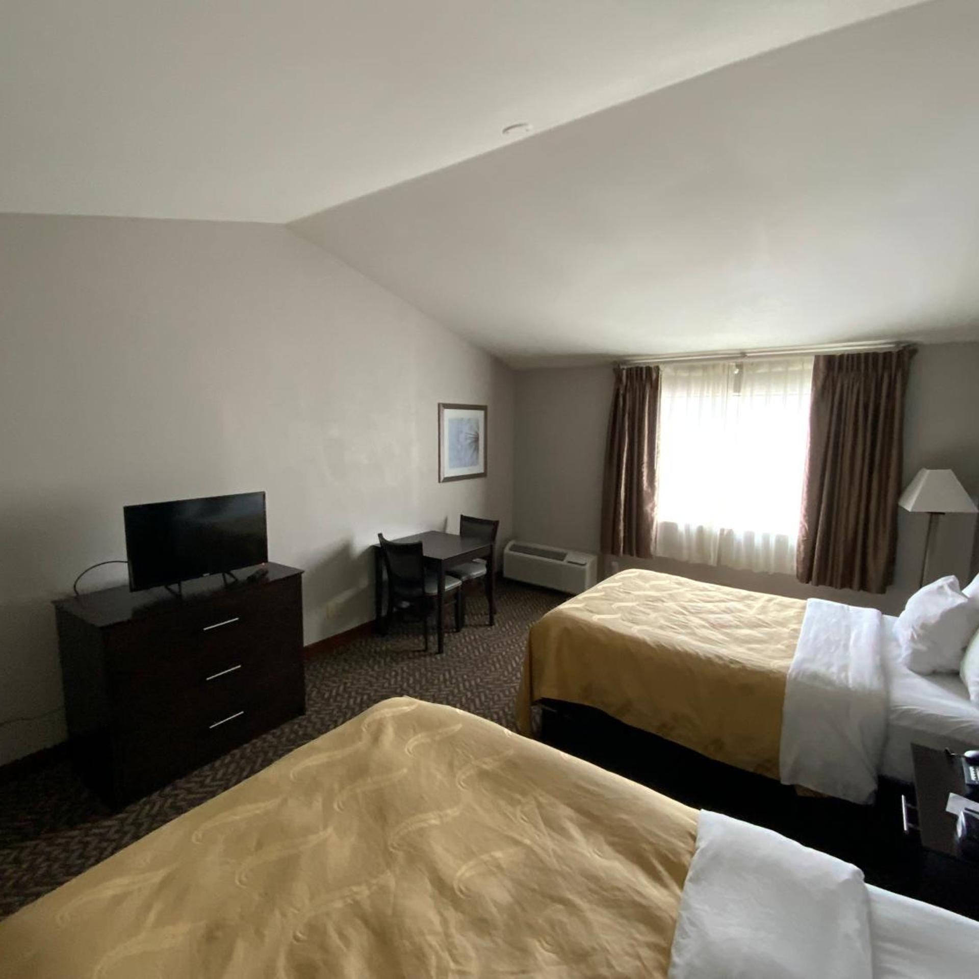 Efficiency, Standard, 2 Double Beds
