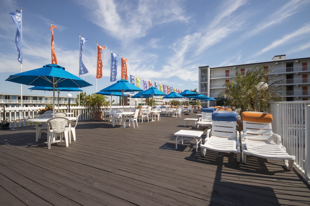 The Spinnaker 33/43