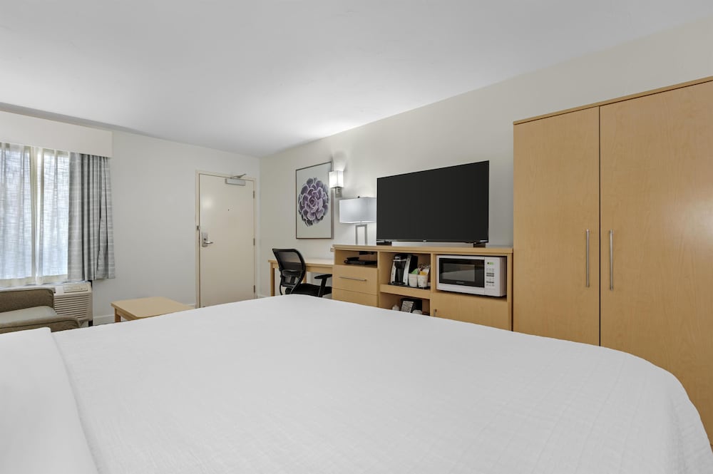 غرفة قياسية بسرير كينج بإطلالة على الجبل، Best Western Plus South Coast Inn 4/10