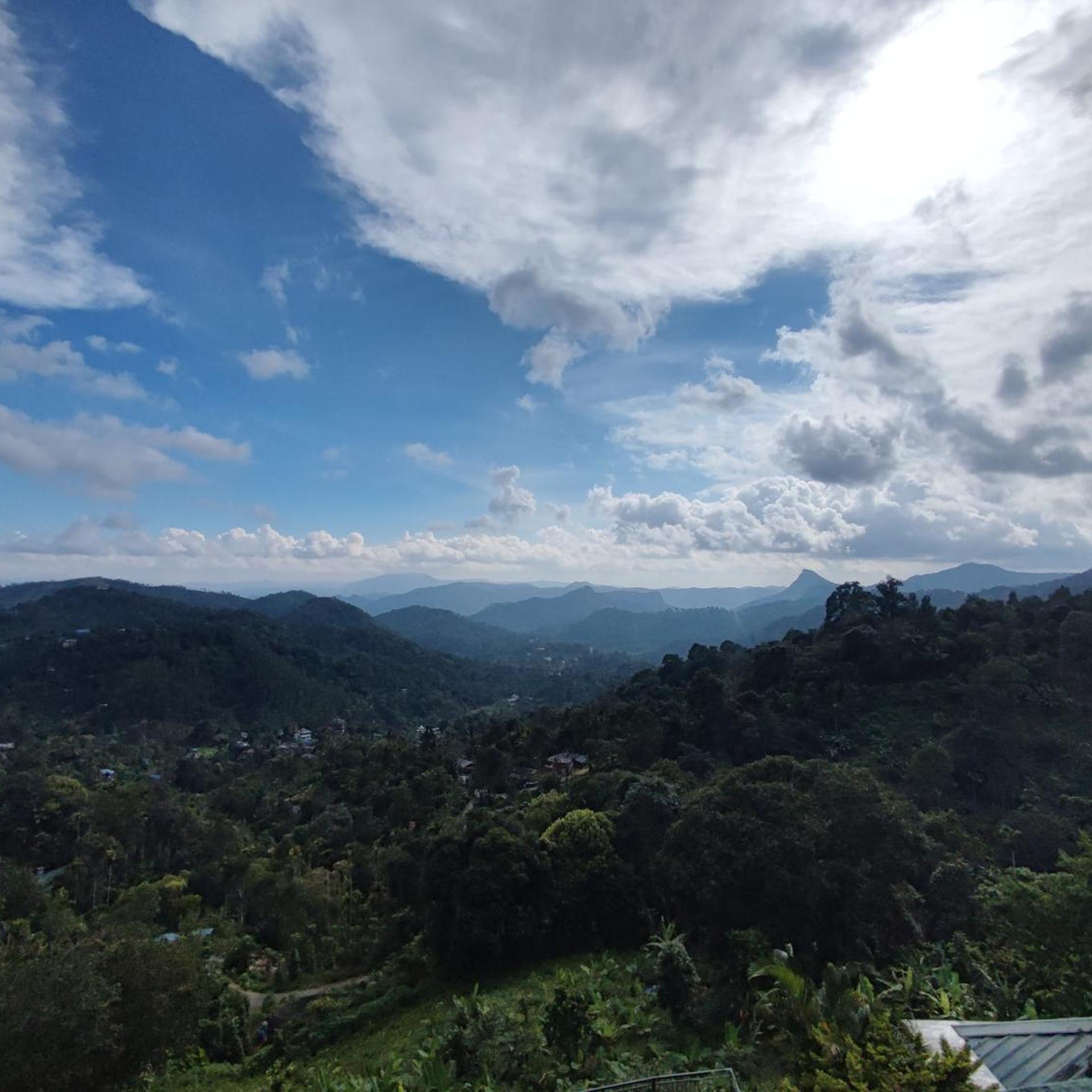 Munnar Tea Country Resort 37/47
