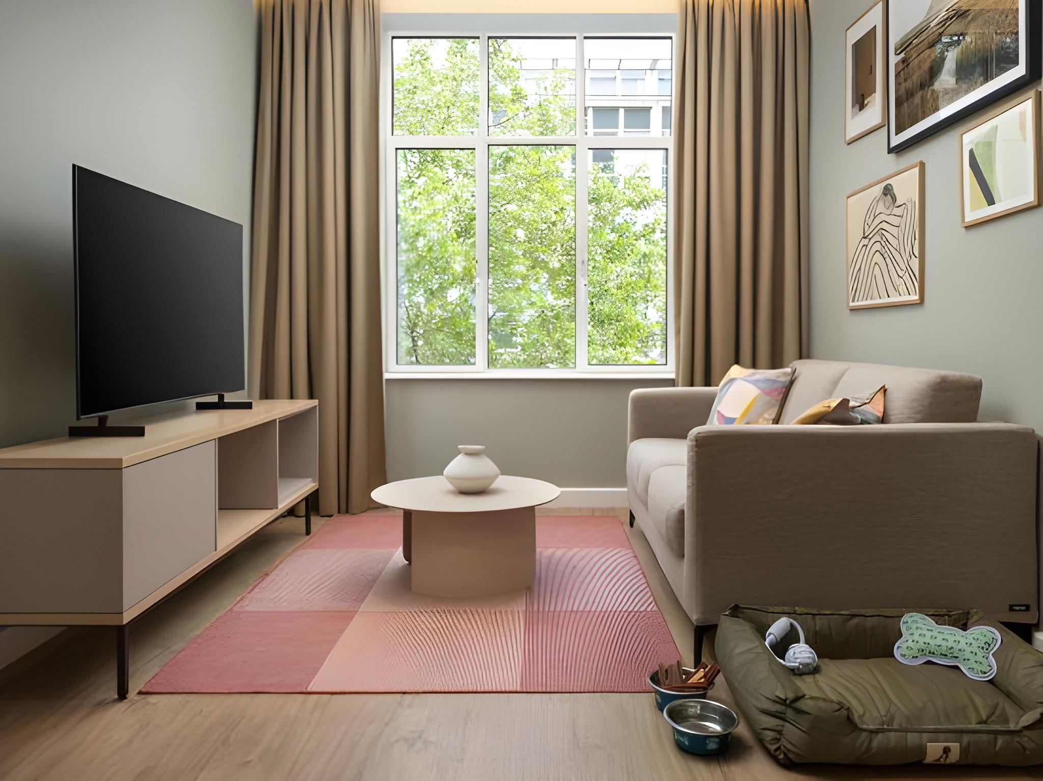 Great, Suite, Queen Bed