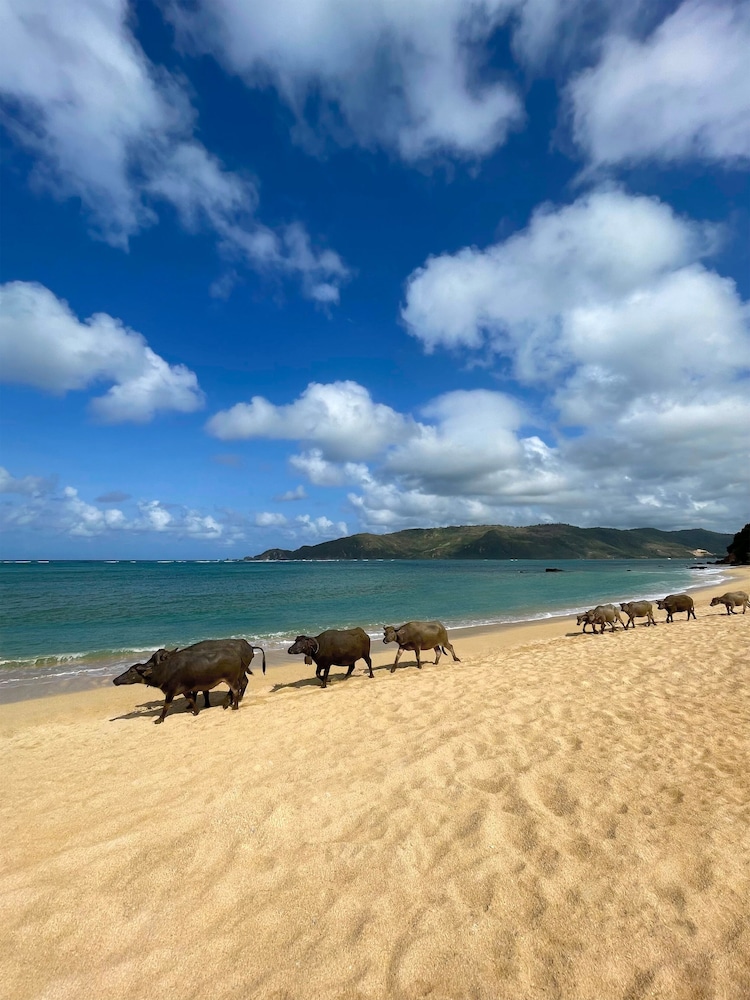 Pullman Lombok Merujani Mandalika Beach Resort 44/48