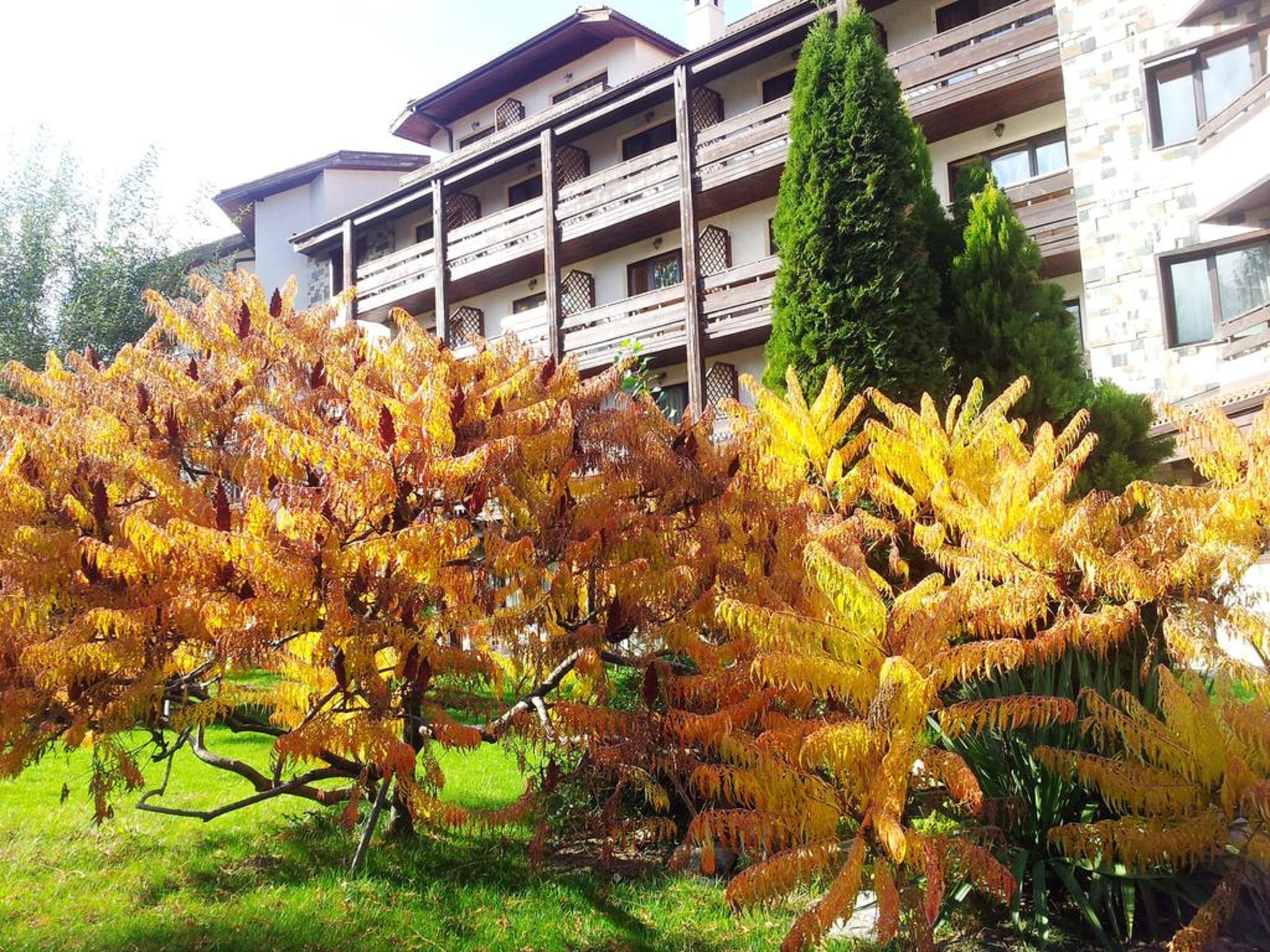 Orphey Hotel 8/42