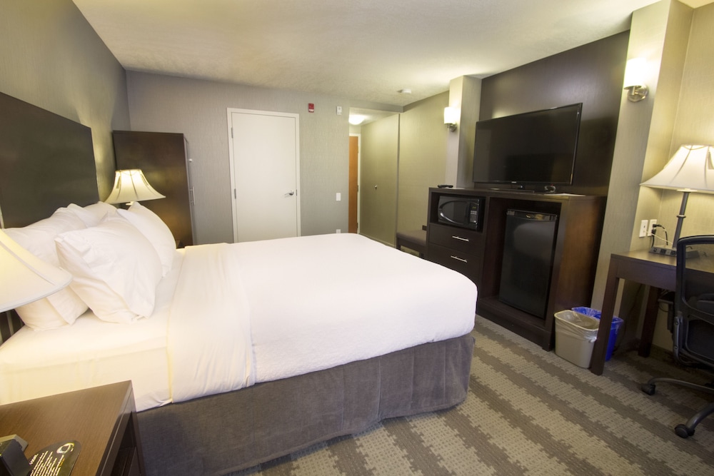 Holiday Inn Calgary- Airport 19/65