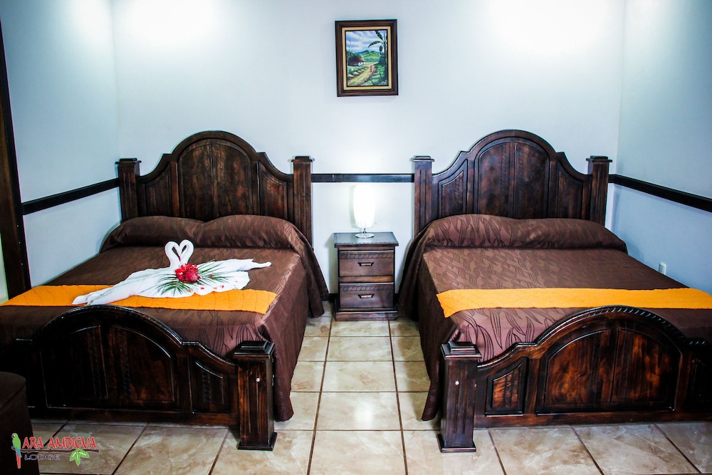 Ara Ambigua Lodge 30/50