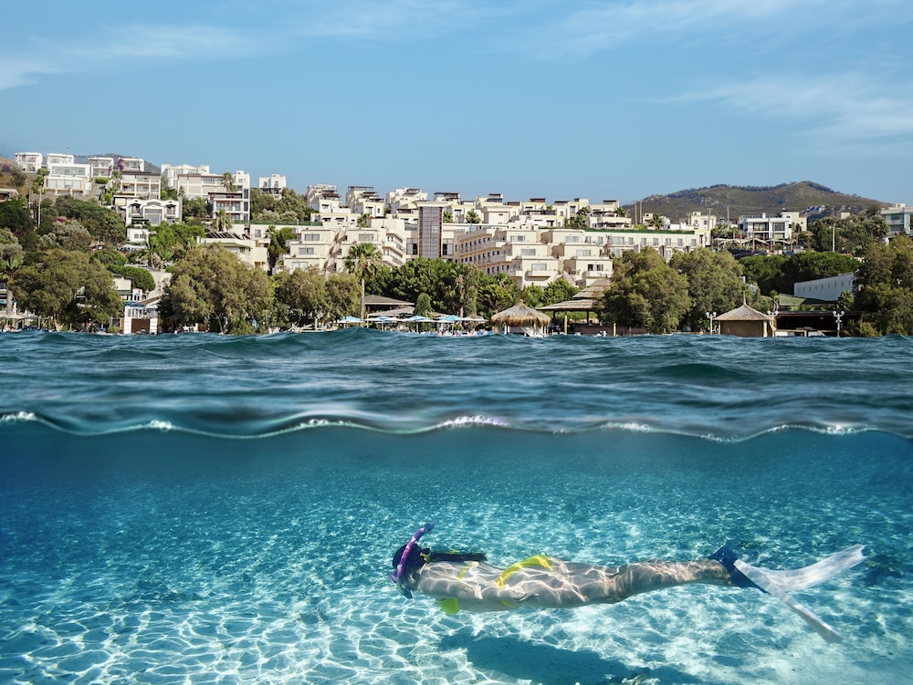 Golden Age Bodrum 38/50