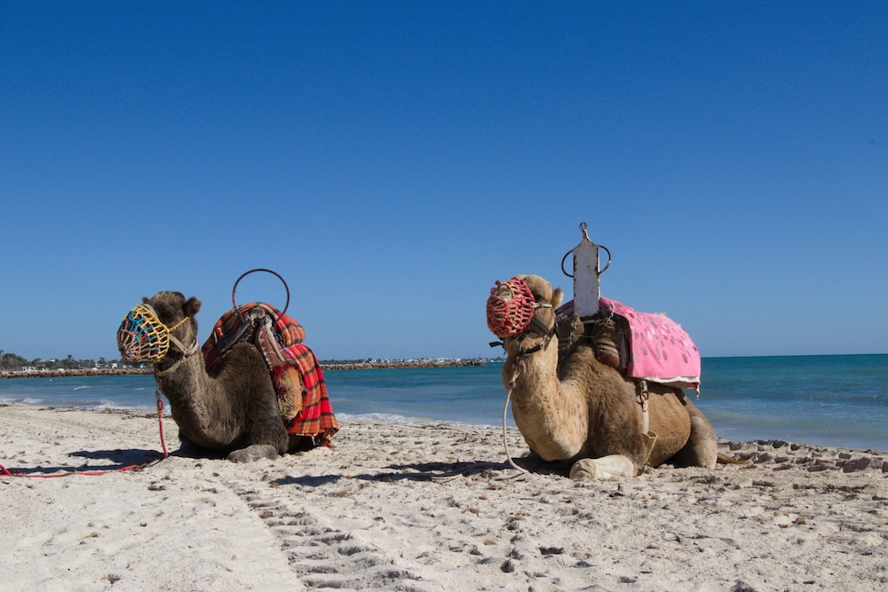 Seabel Aladin Djerba photo2