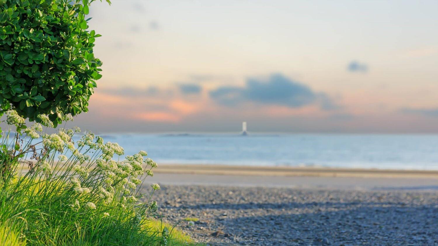 Anmyeongdo Dream Pension 47/50