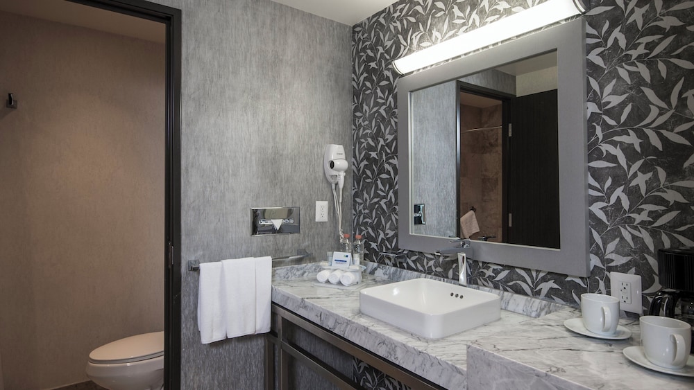 Holiday Inn Express & Suites Queretaro, an IHG Hotel 47/50
