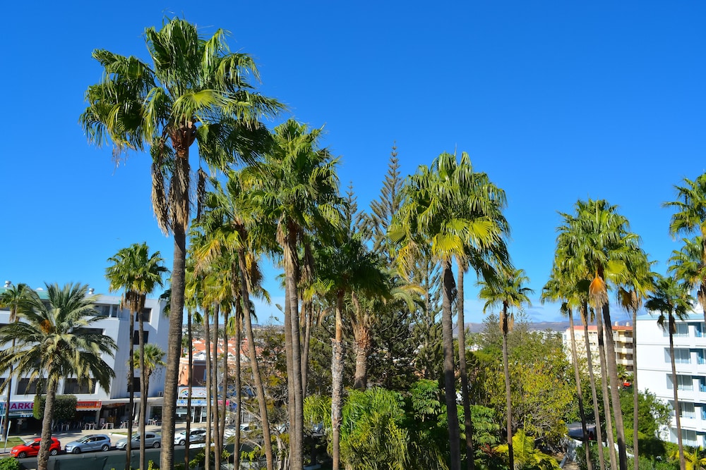 Playa Del Sol - Adults Only 41/50