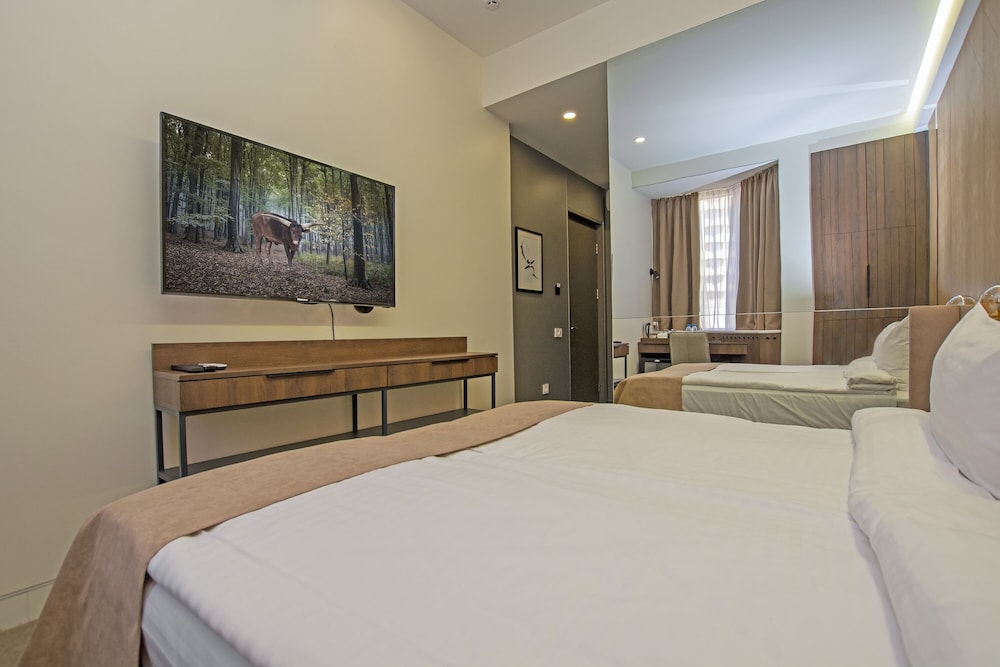 Cartez by Horizon Hotels, Yerevan 29/58