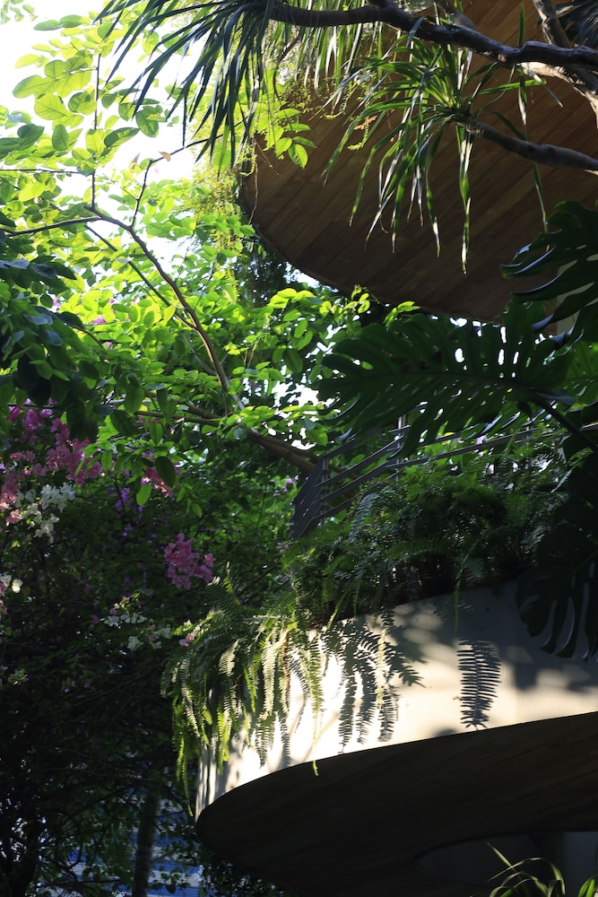 Cityhouse - City Oasis 32/50