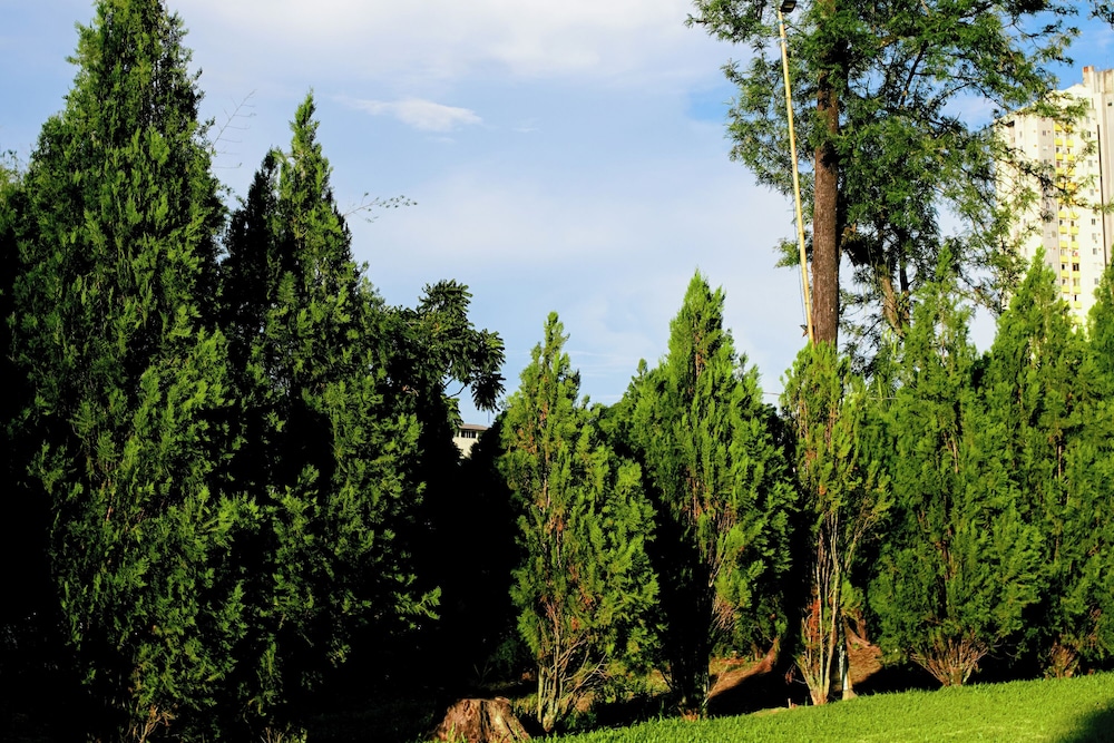 Pousada Natureza Foz 40/50