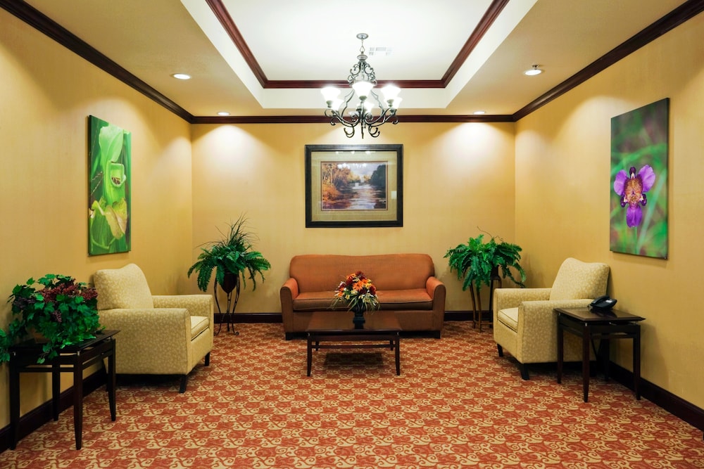 Holiday Inn Express Hotel Suites Athens 31/47