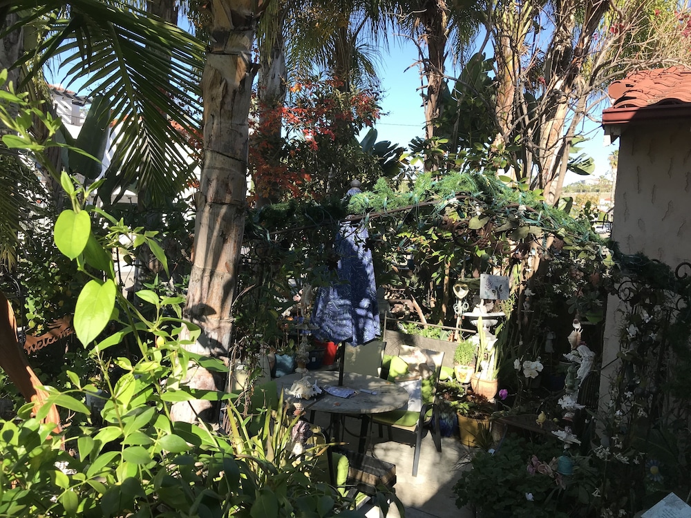 Always Inn San Clemente Bed Breakfast 58/65