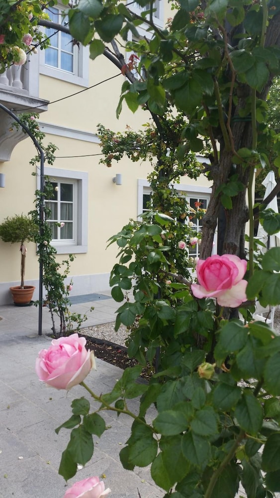 Hotel Eden 20/46