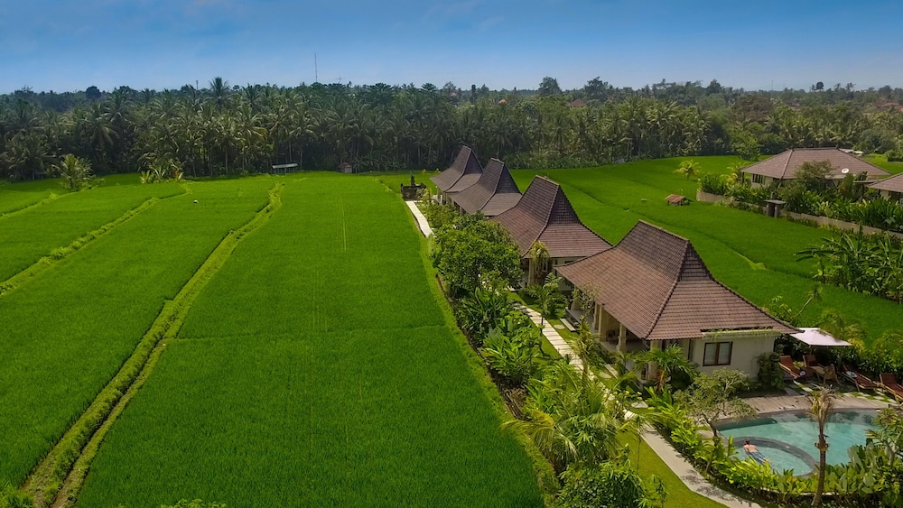 Masia Villa Ubud 60/67
