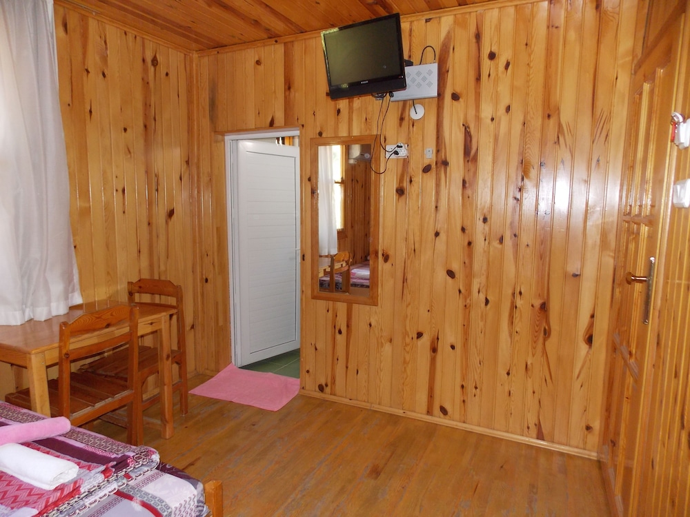 Olympos Orange 24/50