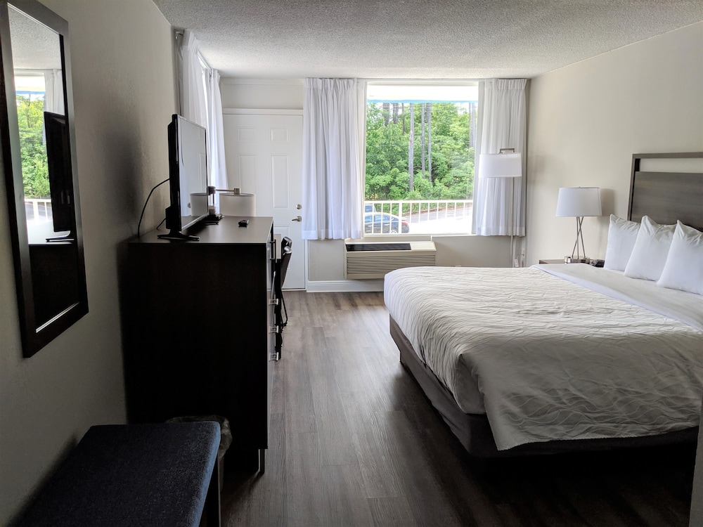 ROOM, KING BED, COURTYARD AREA