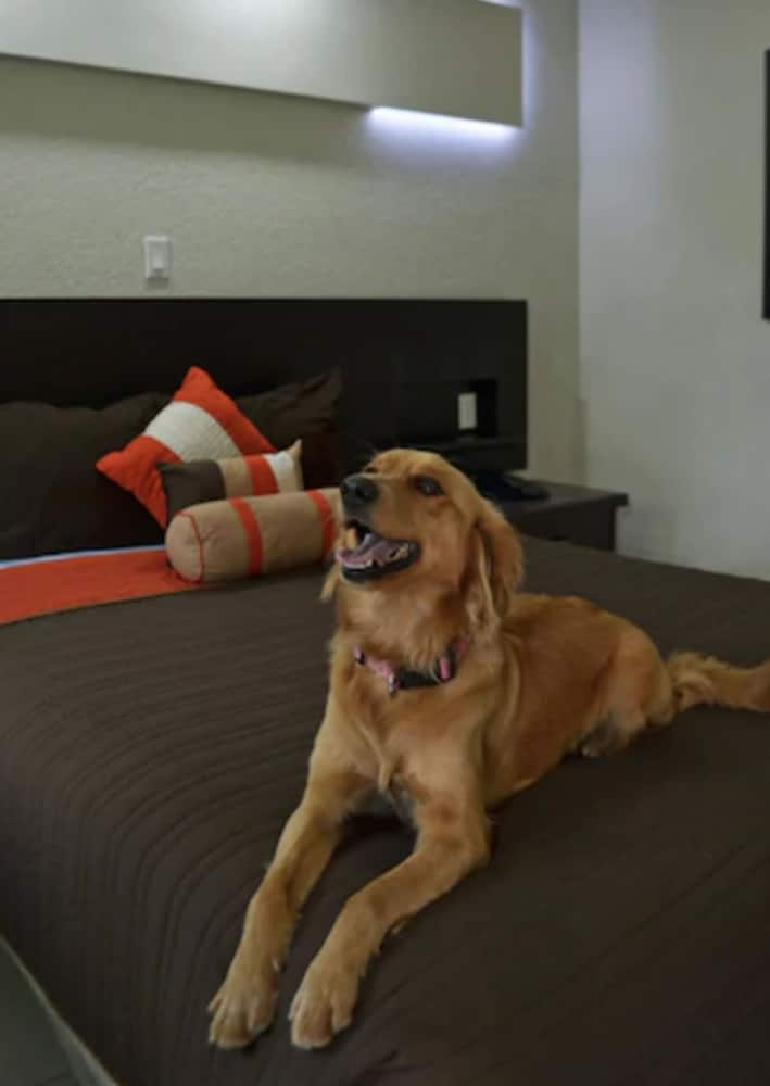 Real Inn De Tijuana Boulevard Agua Caliente 34/50