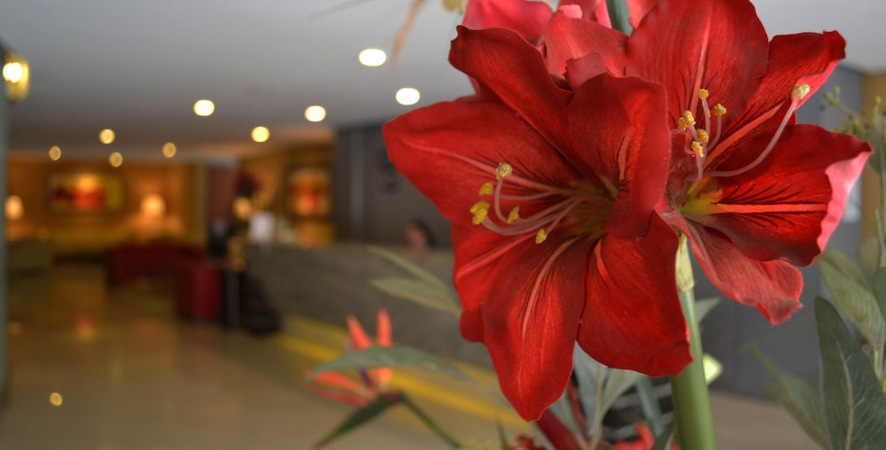 Hotel Alborada 6/57