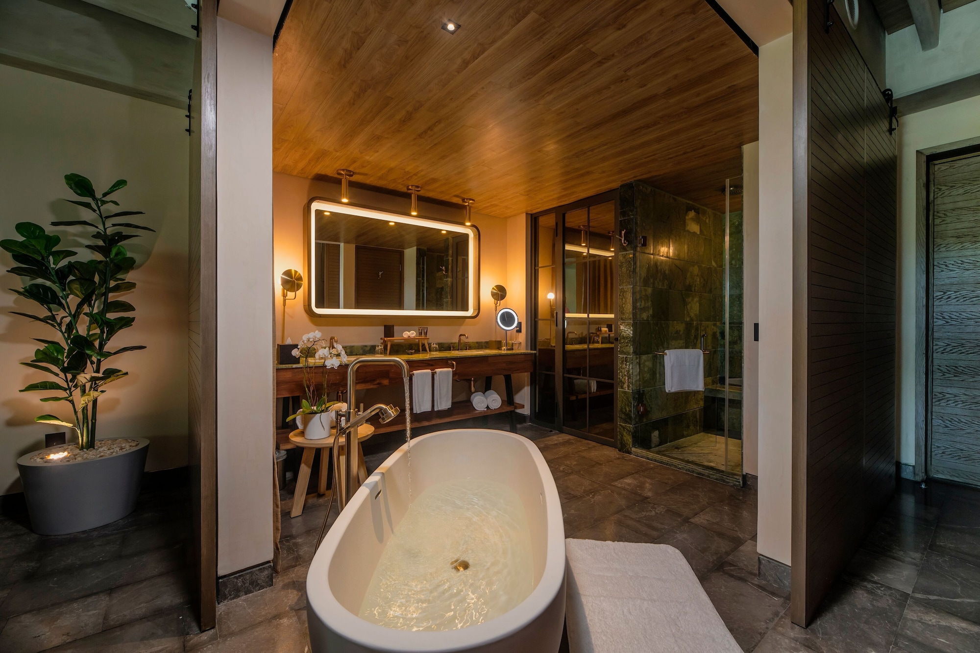 Roof Top, Inspira, Suite, King Bed, Sofa