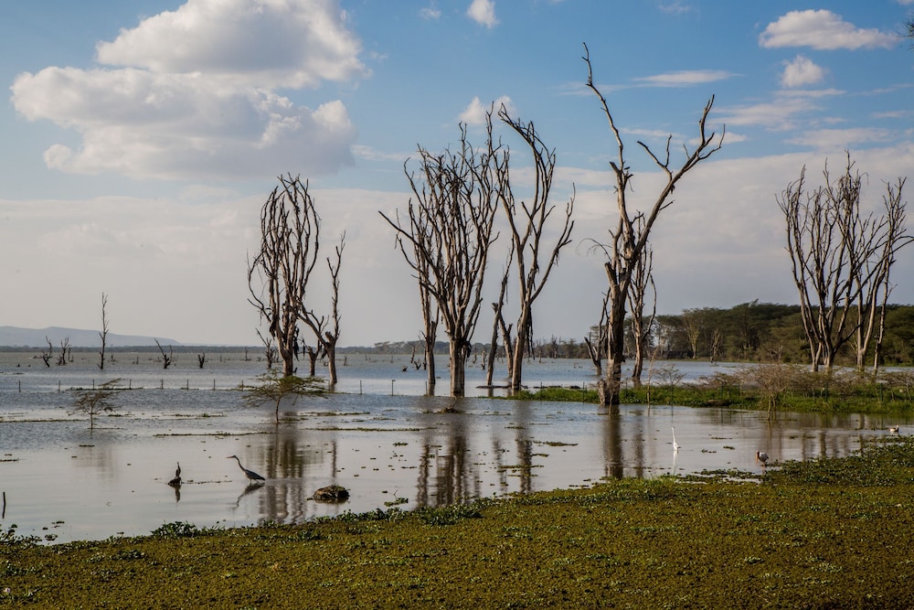 Lake Naivasha Resort 44/49