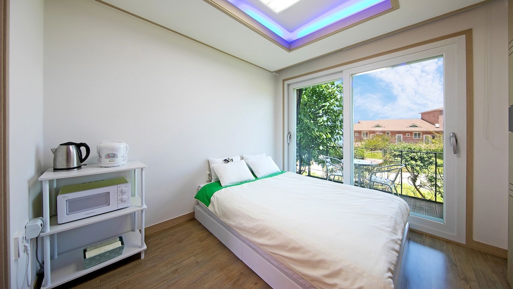 Hanulbora Pension 13/50